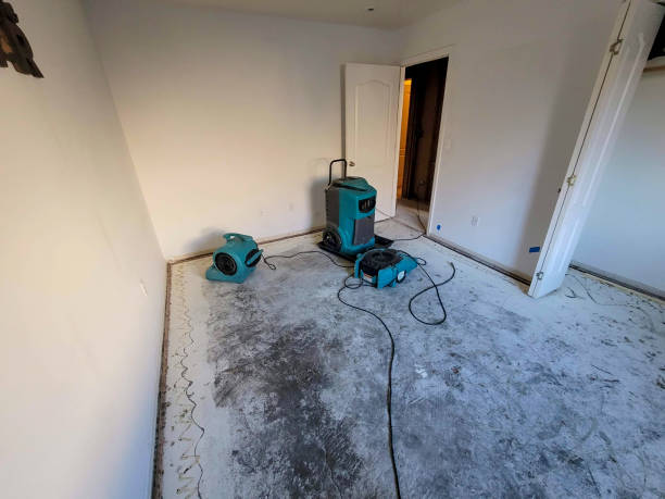 Best Mold removal after water damage  in Fullerton, PA