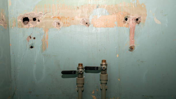 Best Flood damage cleanup  in Fullerton, PA