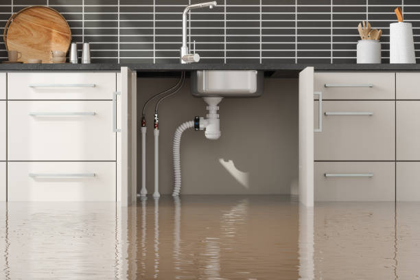 Best Fire Damage Restoration  in Fullerton, PA