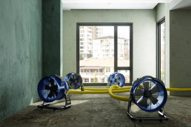 Best Water damage cleanup near me  in Fullerton, PA